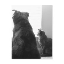 Compartir un momento tranquilo