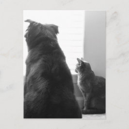 Postal Compartir un momento tranquilo