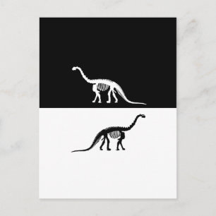 Postal compasaurus skeleton