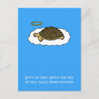 Compasión por la pérdida de la tortuga Mascota