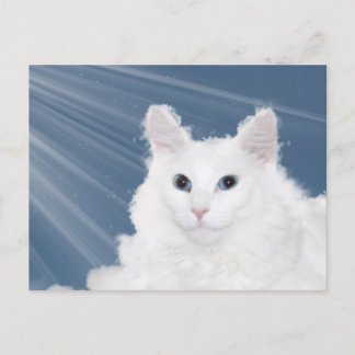 Postal Compasión por la pérdida del gato mascota