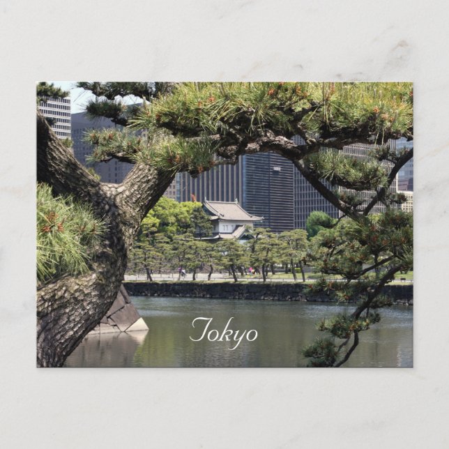 Postal complejo imperial (Anverso)