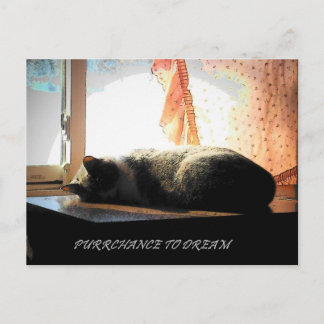 POSTAL COMPRA AL SUEÑO