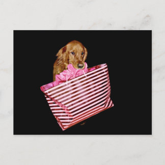 Postal Compras