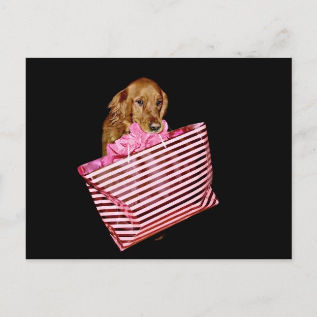 Postal Compras (Anverso)