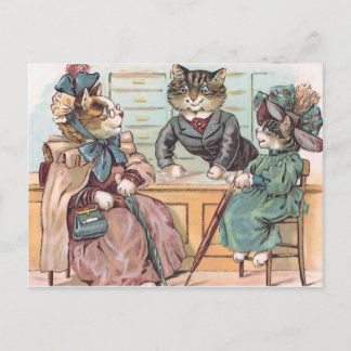 Postal Compras de Cat Ladies