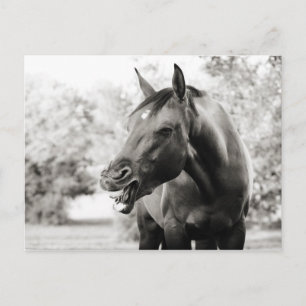 Postal Cómprate divertido