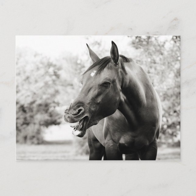 Postal Cómprate divertido (Anverso)