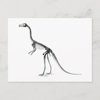 Postal compsognathus skeleton