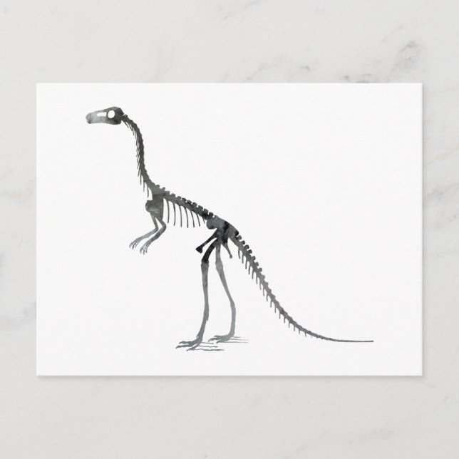 Postal compsognathus skeleton (Anverso)
