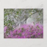 Compuesto digital de azaleas y árbol de magnolia