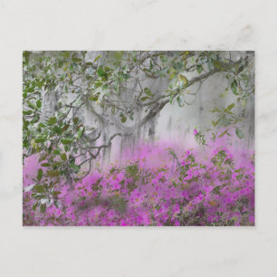 Postal Compuesto digital de azaleas y árbol de magnolia