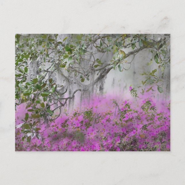 Postal Compuesto digital de azaleas y árbol de magnolia (Anverso)