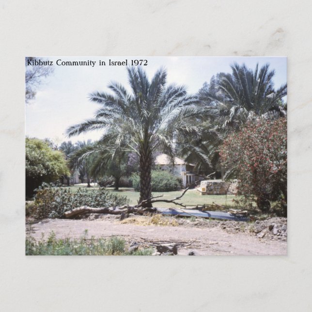 Postal Comunidad Kibbutz en Israel (Anverso)