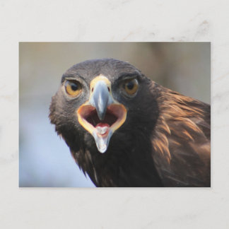 Postal con águila dorada