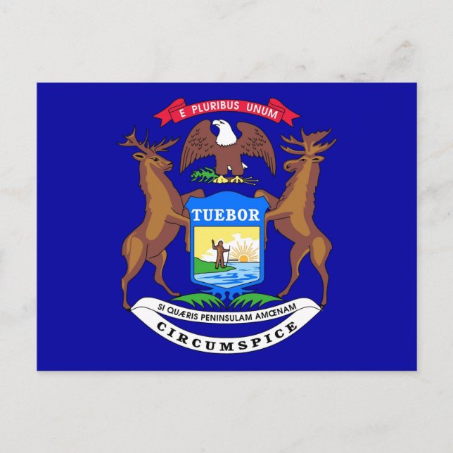 Postal con bandera del estado de Michigan - Estado (Anverso)