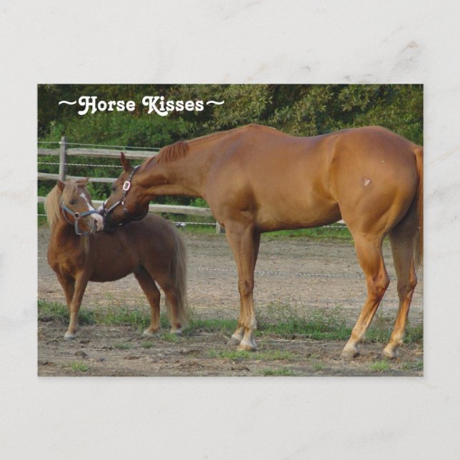 Postal con besos de caballo (Anverso)