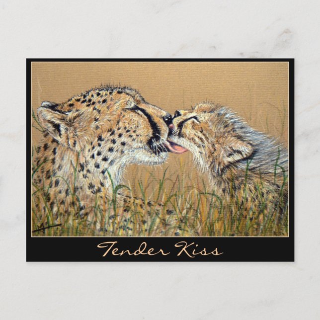 Postal con Cheetah Baby & Mom (Anverso)