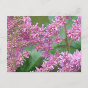 Postal con flores de color rosa