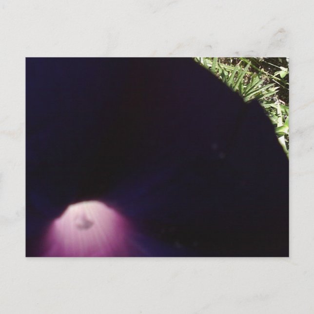 Postal con flores moradas (Anverso)