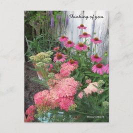 Postal con flores rosadas