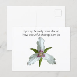 Postal con flores silvestres de la primavera del T