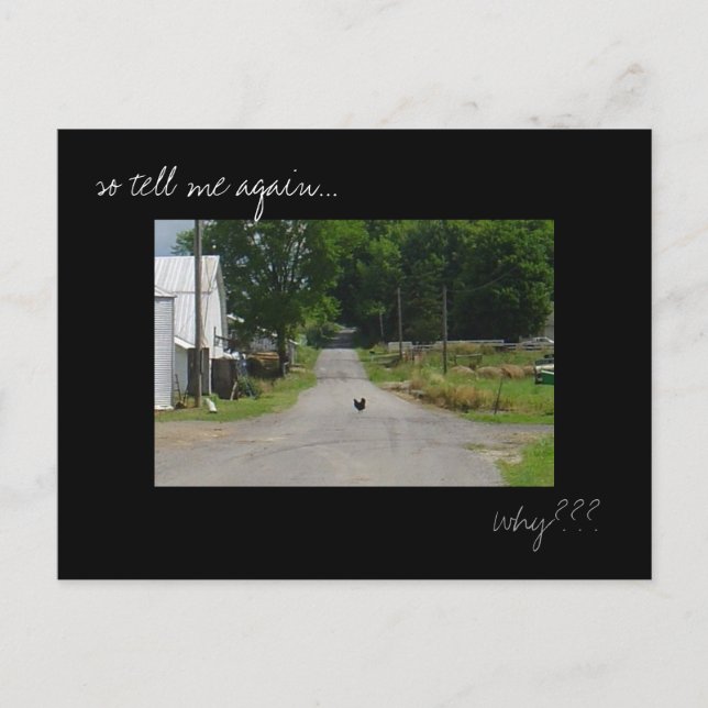 Postal con foto de 'Chicken Crossing Road' (Anverso)