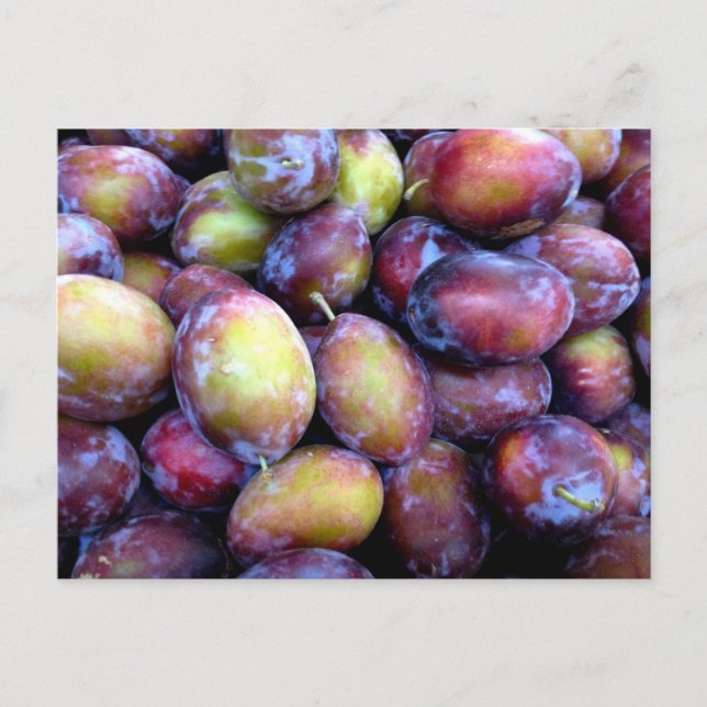 Postal con foto de ciruelas (Anverso)