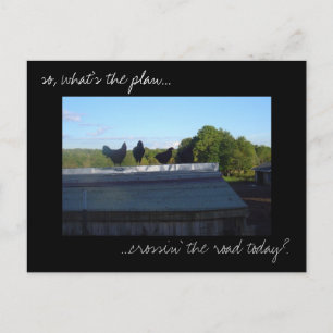 Postal con fotografía de 'Planes de pollo'