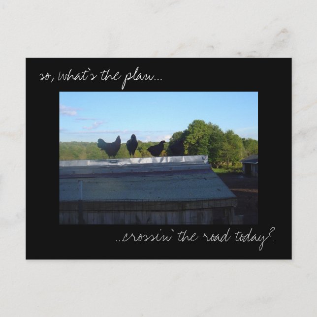 Postal con fotografía de 'Planes de pollo' (Anverso)