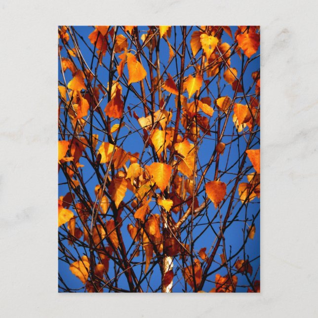 Postal con hojas de otoño (Anverso)