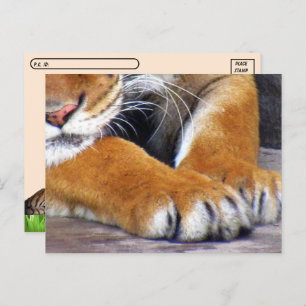 Postal con ID de las rutas de tigre de posttravesí