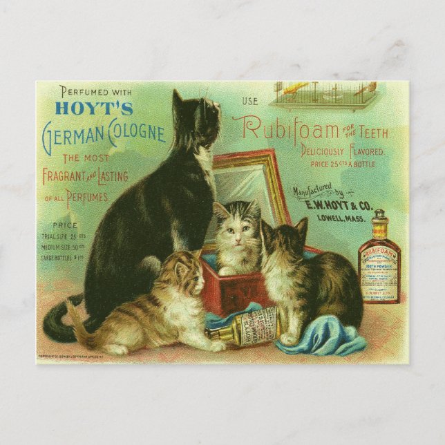 Postal con Ilustracion de gatitos vintage (Anverso)