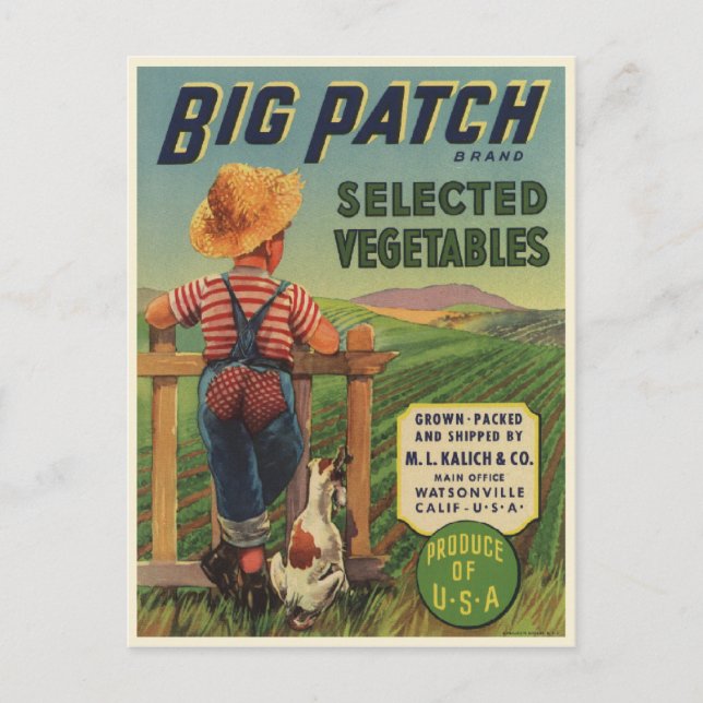 Postal con imagen vintage de niño y perro (Anverso)