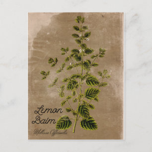 Postal con limón de estilo vintage