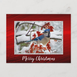 Postal con Navidades de fotos de la nieve de Jay a