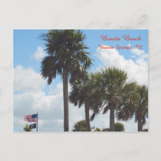 Postal con palmeras en la playa