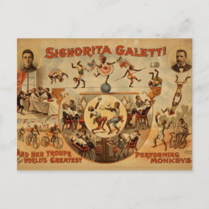 Postal con Poster de circo antiguo