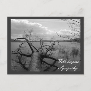 Postal Con profunda solidaridad