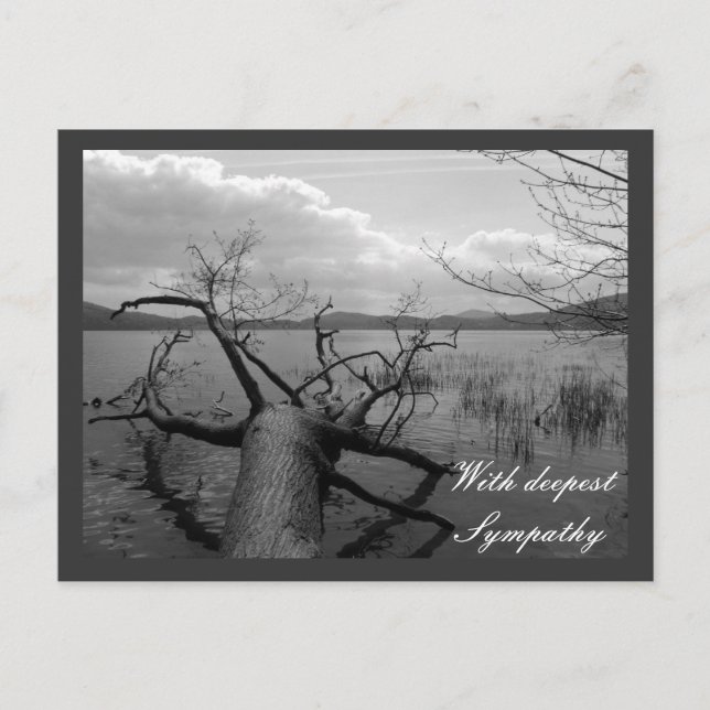 Postal Con profunda solidaridad (Anverso)