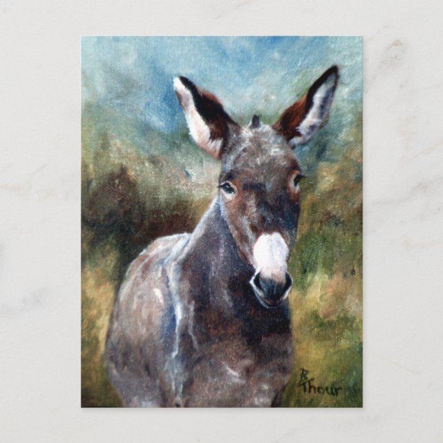 Postal con retrato de burro (Anverso)