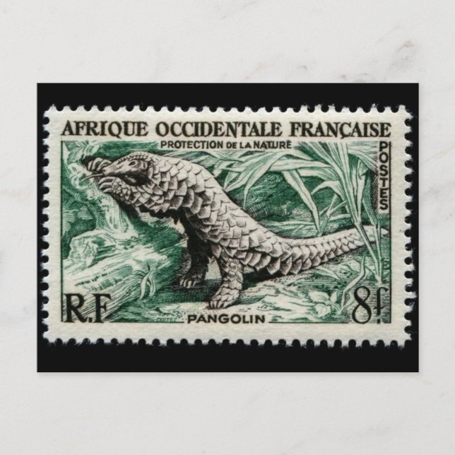 Postal con sello grabado de época (Anverso)