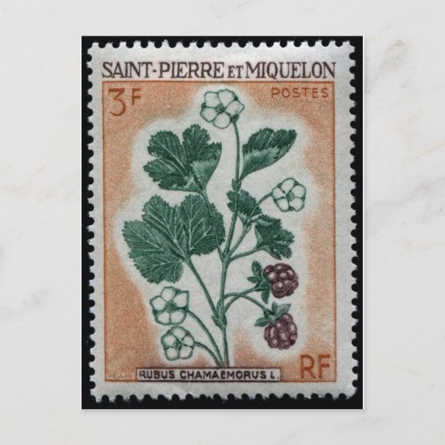 Postal con sello grabado de época (Anverso)