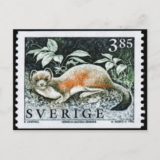 Postal con sello grabado de época