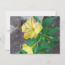 Postal con sobre blanco