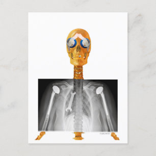 Postal con Trump predirigida