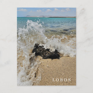 Postal con vistas a la playa de la isla Lobos