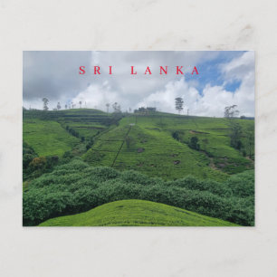 Postal con vistas a las plantaciones de té de Sri