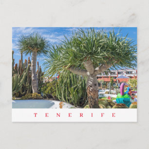 Postal con vistas de árboles únicos de Tenerife