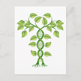 Postal concepto de planta de ADN